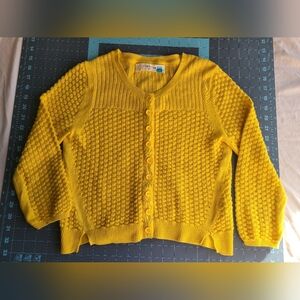 Sparrow Mustard Button-Up Women Cardigan